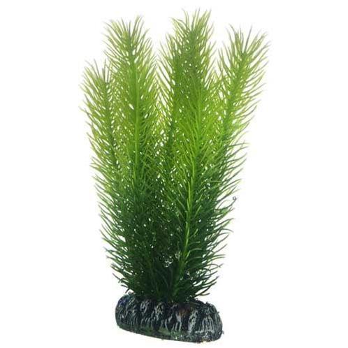 Osaka aquarium kunst plant Mayaca 16cm art. 585, Dieren en Toebehoren, Vissen | Aquaria en Toebehoren, Plant(en), Steen of Hout