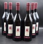 2020 Paolo Caccese, Merlot - Collio DOC - 6 Flessen (0.75, Verzamelen, Wijnen, Nieuw