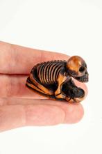 Een Japanse netsuke van boxwood die een skelet met een kom