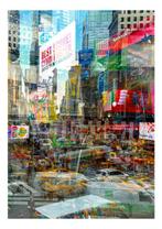 Roberto Cavalli (1971) - 2pc / #335 #336 / New York - double