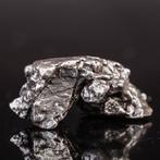 Campo del Cielo meteoriet – ijzer-nikkel met