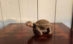 Figuur - P. Chenet - Schildpad - 13,5 cm - Brons, Antiek en Kunst