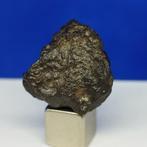 XL ANGRITE MÉTÉORITE - La plus ancienne pierre plutonique du