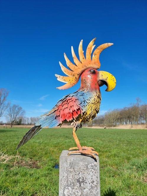 Beeldje - Xl Cockatoo - IJzer, Metaal, Antiek en Kunst, Curiosa en Brocante