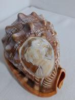 Caméo gravé sur Coquillage marin - Cassis Tuberosa (Sans, Antiek en Kunst