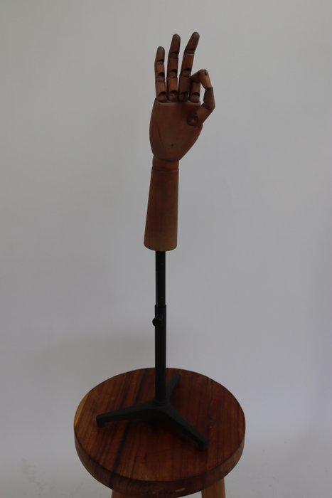 Onderwijs/demonstratiemodel - Beuken - 1980-1990 - HANS, Antiek en Kunst, Curiosa en Brocante