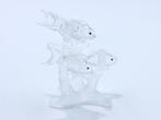 Figure - Swarovski - School vissen (Boxed + certificate) -