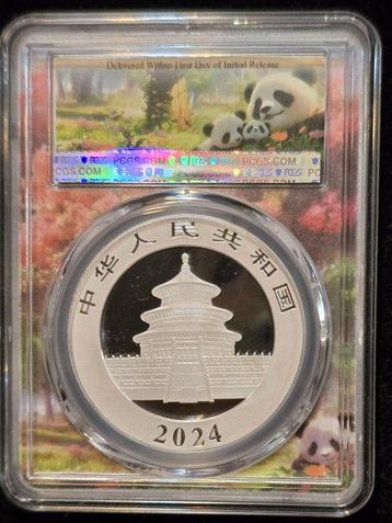 China. 10 Yuan 2024 Panda MS70 (Zonder Minimumprijs) beschikbaar voor biedingen