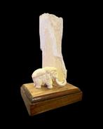 Wolharige mammoet Slagtand - Mammoet Beeld. Gemaakt van, Nieuw