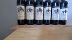 2000 Chateau Terre Noire - Lalande-de-Pomerol - 6 Flessen, Verzamelen, Wijnen, Nieuw