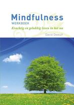Mindfulness werkboek 9789086792610 David Dewulf, Boeken, Verzenden, Zo goed als nieuw, David Dewulf