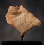 Het oude Griekenland Terracotta fragment van een stier - 7