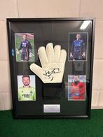 Mignolet - Goal keeper gloves, Collections