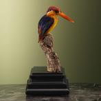 Zwartrugdwergijsvogel Taxidermie Opgezette Dieren By Max, Verzamelen, Ophalen of Verzenden, Nieuw, Vogel, Opgezet dier