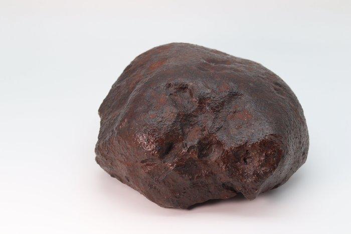 Meteoriet NWA Condriet Niet Geclassificeerd - 3319 g - (125), Verzamelen, Mineralen en Fossielen