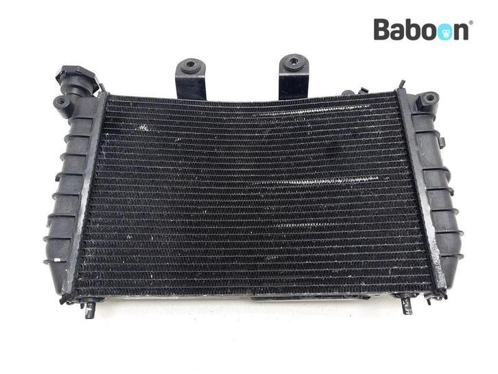 Radiateur Harley-Davidson RA 1250 S Pan America Special, Motoren, Onderdelen | Harley-Davidson, Gebruikt, Verzenden