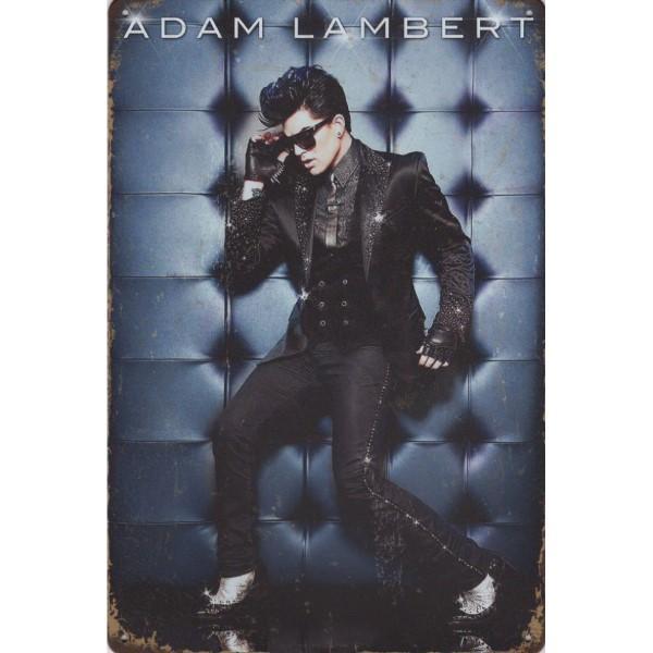 Wandbord -  Adam Lambert Live, Huis en Inrichting, Woonaccessoires | Wanddecoraties, Nieuw