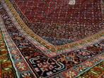 Bidjar - Gereinigd - Vloerkleed - 365 cm - 285 cm