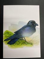 Belgique 2013/2013 - Calendrier annuel 2013, publications, Gestempeld