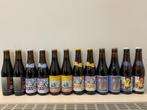 Struise Brouwers & Dolle Brouwers - Diverse Ales - zie