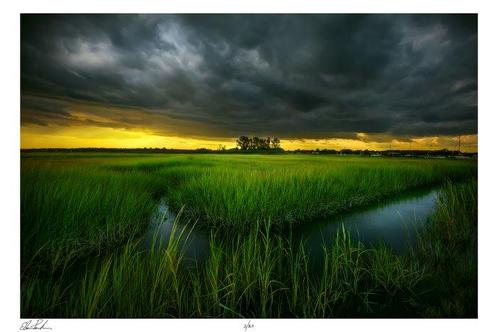 Elena Paraskeva - A Brewing Storm (USA) - XL, Antiek en Kunst, Kunst | Schilderijen | Modern