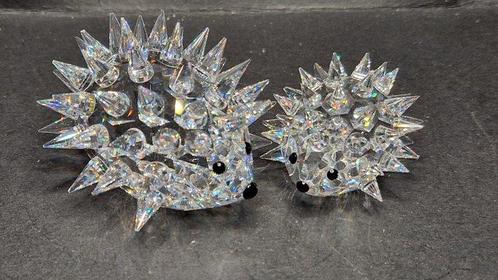 Swarovski - boxed en certificated - Egel middel 013265 -, Antiek en Kunst, Curiosa en Brocante