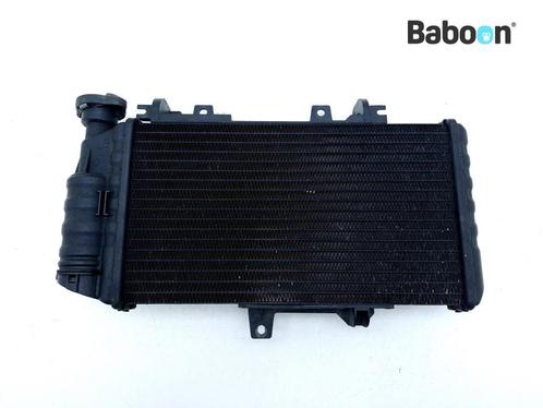 Radiateur BMW F 800 R 2015-2016 (F800R 15), Motos, Pièces | BMW, Envoi