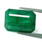 Zonder Minimumprijs - 1 pcs Groen Smaragd - 18.13 ct -, Nieuw