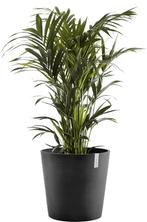 NIEUW - Amsterdam bloempot Dark Grey Ø 50 cm, Tuin en Terras, Bloempotten, Verzenden, Nieuw
