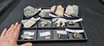 Verzameling van mineralen in zijn presentatievak voor -