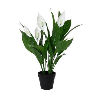 Kunstplant Lepelplant | Decoris | 60 cm (In pot) beschikbaar voor biedingen