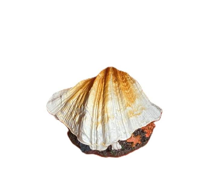 Schelp met luchtaansluiting oranje OS-152 - aquarium decorat, Dieren en Toebehoren, Vissen | Aquaria en Toebehoren, Sierelement