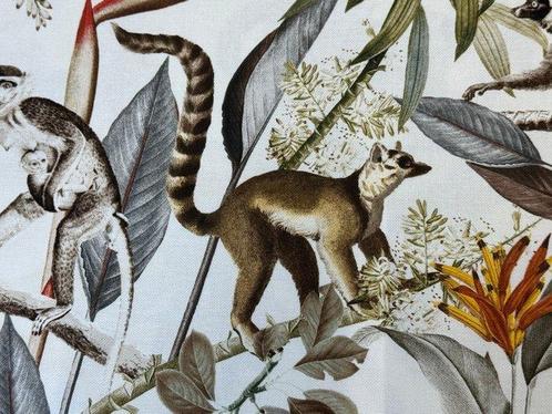 Jungle des Lémuriens : une aventure botanique entre branches, Antiek en Kunst, Curiosa en Brocante