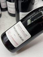 2023 Joseph Mellot St Nicolas de Bourgeuil -, Nieuw