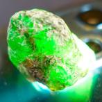 Colombiaanse Emeralds Muzo (groene berylsoort) Ruwe