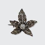 Broche - 14 karaat Witgoud, Handtassen en Accessoires, Antieke sieraden