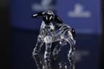 Figuur - Swarovski - Lammetje (Boxed + Certificate) -