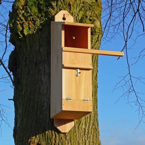 NIEUW - Uilenkast bosuil cederhout, Animaux & Accessoires, Oiseaux | Oiseaux Autre