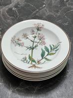 Villeroy & Boch - Bord (7) - Botanica - Porselein