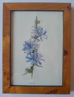 Rev. F. Edward Hulme - A set of ten mounted and framed