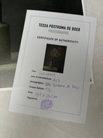 Tessa Posthuma de Boer (1968–) - Callistemon
