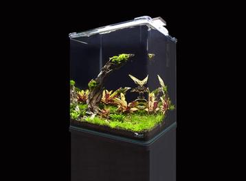 AQUATLANTIS KUBUS CURVE COMPLETE  (LED+BIOF+SOIL+ORI) beschikbaar voor biedingen