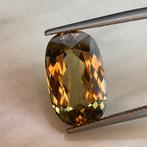 Zonder Minimumprijs Diaspoor - 10.95 ct - nternational, Nieuw