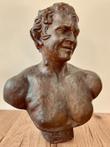 Buste, grote buste van een faun of satyr - 49 cm (1) -