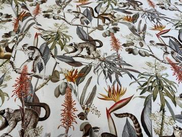 Lemurenjungalow: een botanisch avontuur tussen takken en beschikbaar voor biedingen
