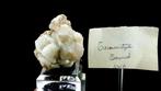 Tarnowitzite Aragonite Tsumeb-mijn, Oshikoto, Namibië -, Verzamelen, Mineralen en Fossielen