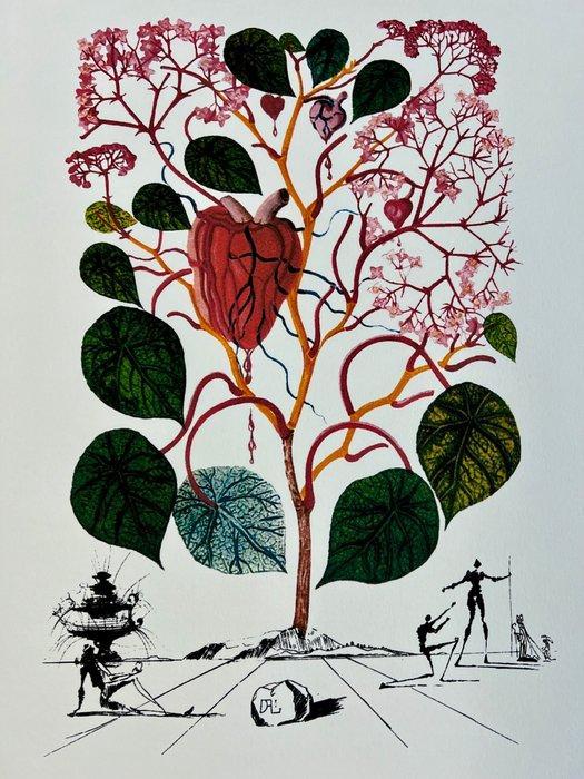 Salvador Dali (1904-1989) - Le Bégonia - Limited Edition, Antiek en Kunst, Antiek | Overige Antiek