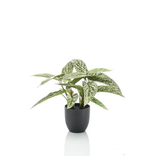 Kunstplant - Calathea Dots - Schaduwplant - 38 cm, Maison & Meubles, Accessoires pour la Maison | Plantes & Fleurs artificielles