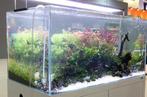 ILA Optic White aquarium Shallow - Aquascaping, Dieren en Toebehoren, Vissen | Aquaria en Toebehoren, Nieuw, Verzenden