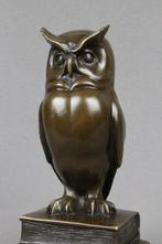 sculptuur, The Wise Owl - 22 cm - Gepatineerd brons